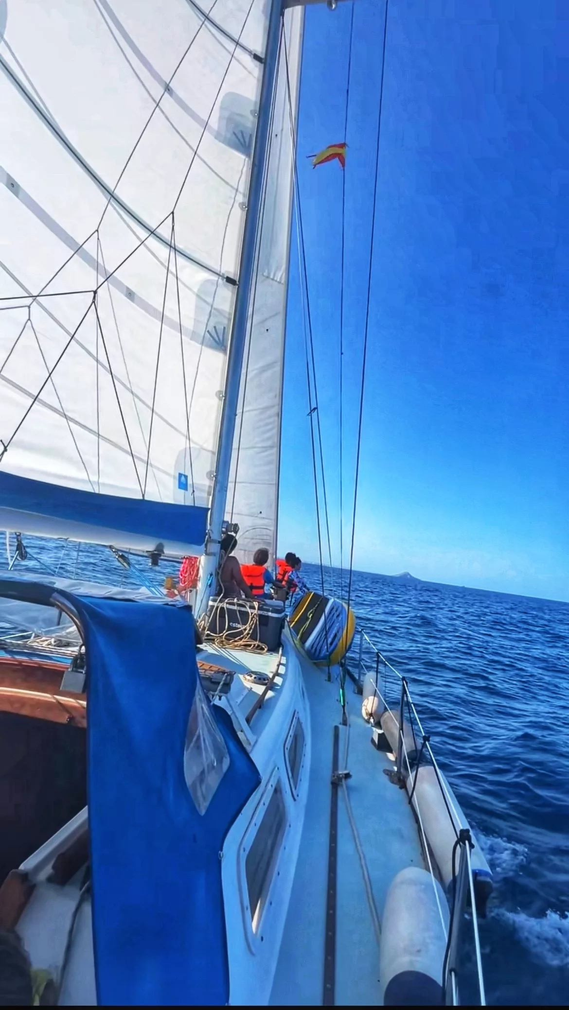 Elona Boats - Alquiler de barcos en Alicante