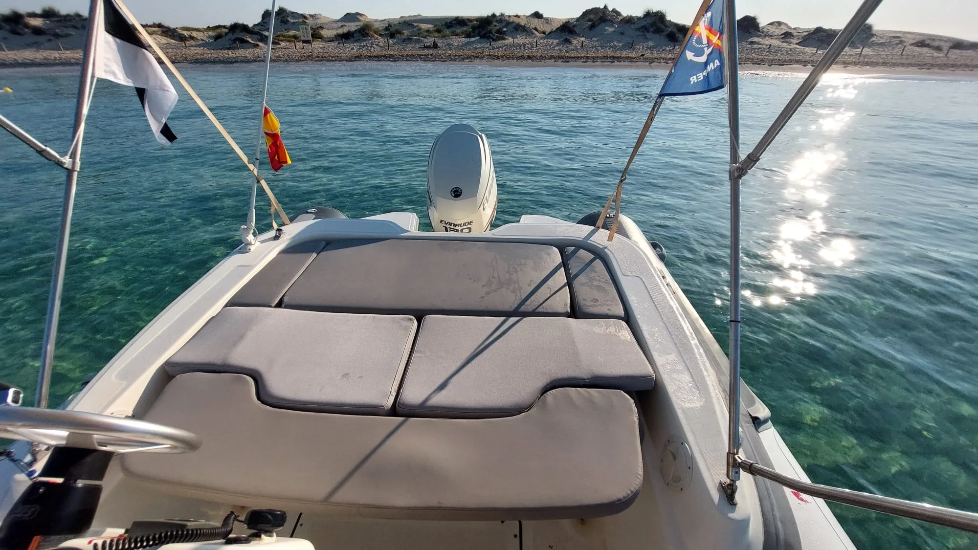 Imagen del barco MV Marine<br/>650 130cv